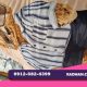 خرید روتختی تک نفره پسرانه