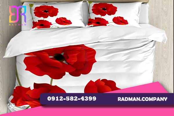 تأثیر مدل های روتختی سه بعدی بر موفقیت تازه کارها